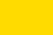 plain yellow