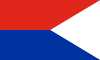 red-blue pennat